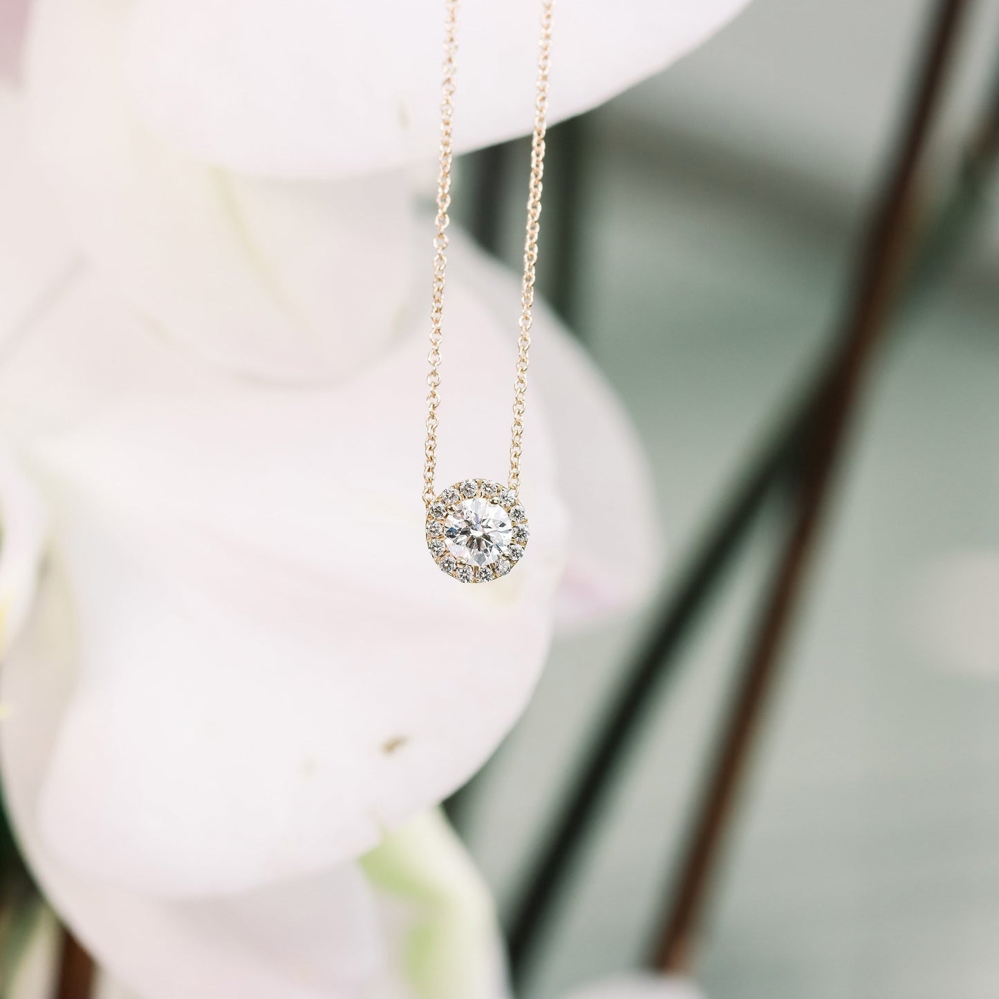 Halo Necklace with 0.35 CT Round Cut Moissanite