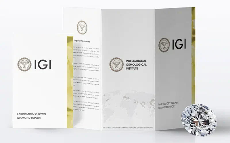IGI Certification Guide: Everything You Need to Know