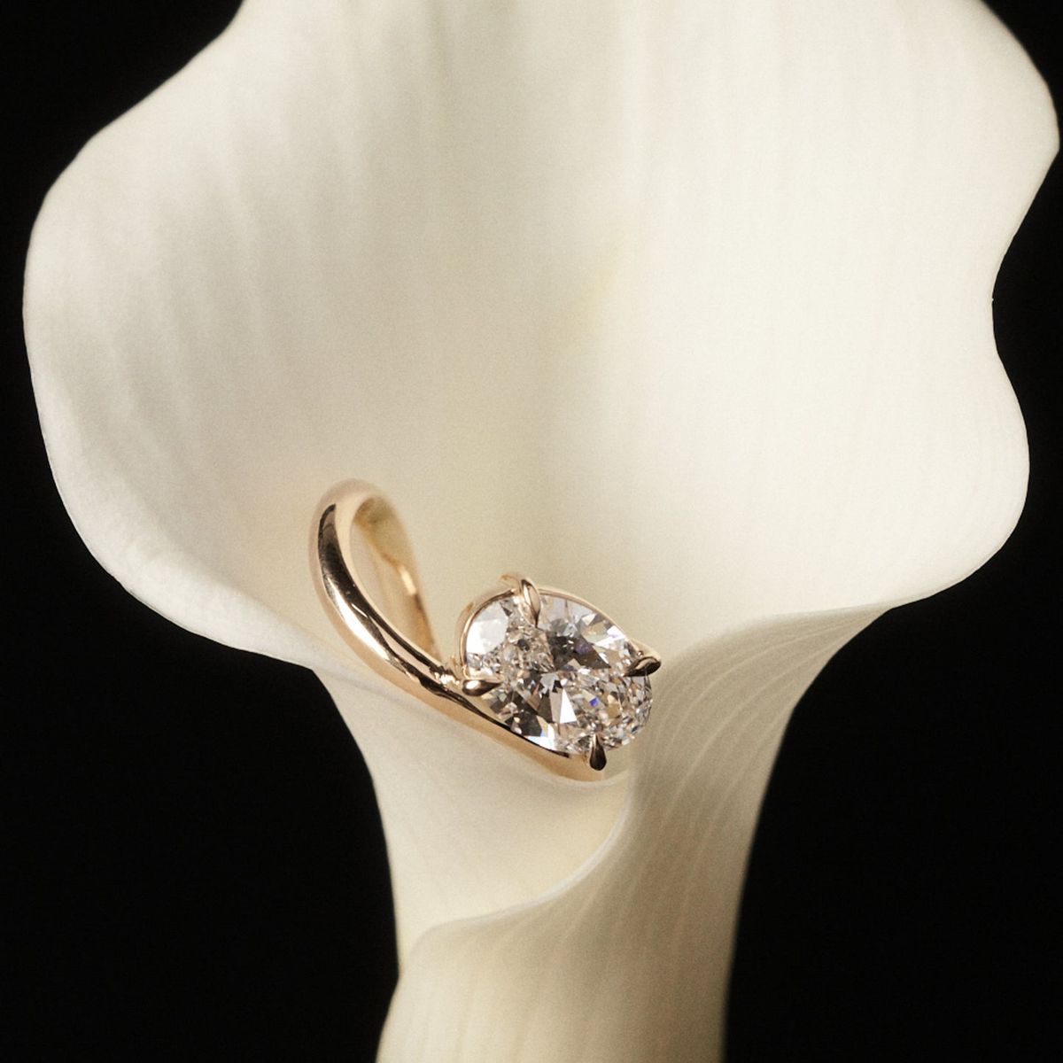 KateandKole_2026_OvalOffset2