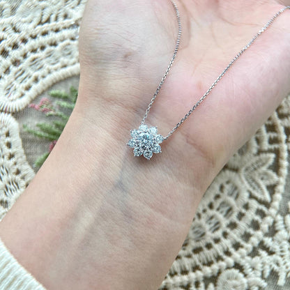 Halo Necklace with 1.0 TCW Round Cut Moissanite